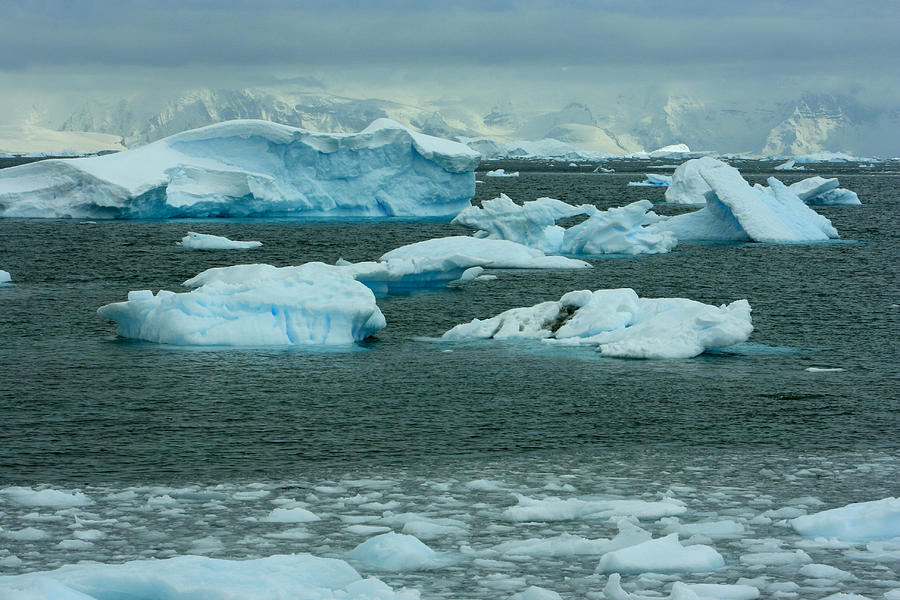 Icebergs #5 Photograph by Amanda Stadther