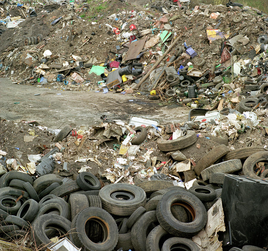 Rubbish Photograph - Illegal Rubbish Dump #5 by Robert Brook/science Photo Library