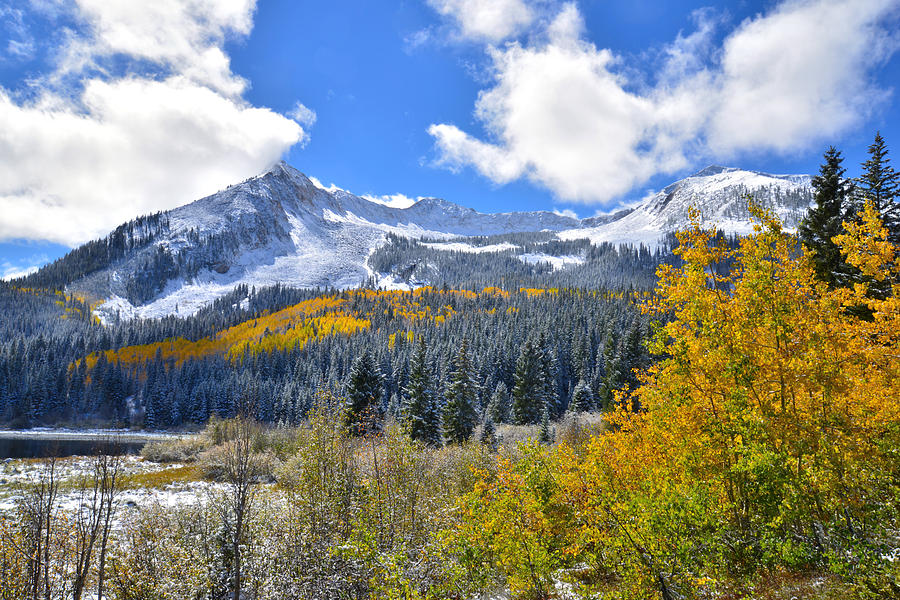 Kebler Pass Fall Colors #6 Photograph by Ray Mathis