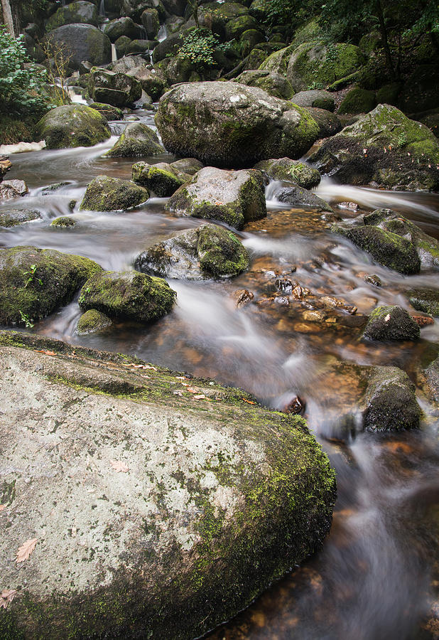 Nature Photograph - Landscape of Becky Falls waterfall in Dartmoor National Park Eng #5 by Matthew Gibson