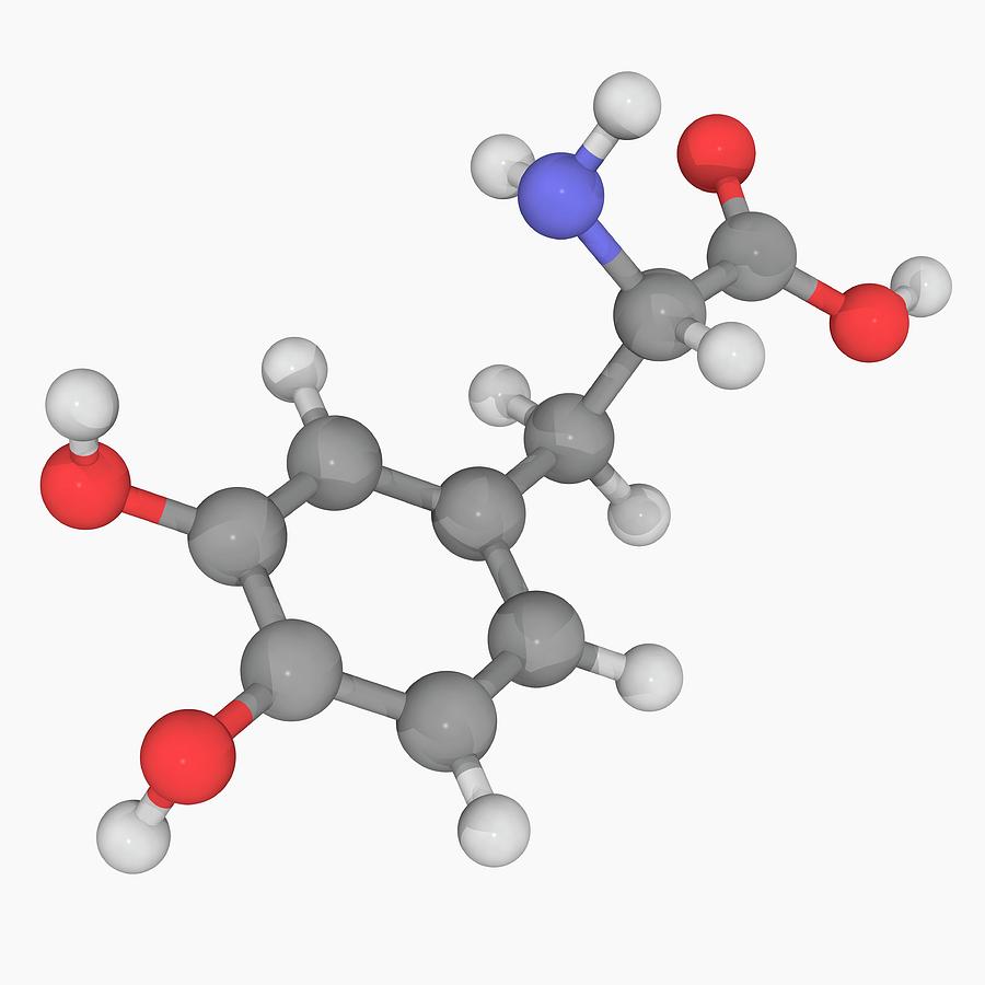Illustration Photograph - Levodopa L-dopa Drug Molecule #5 by Laguna Design/science Photo Library