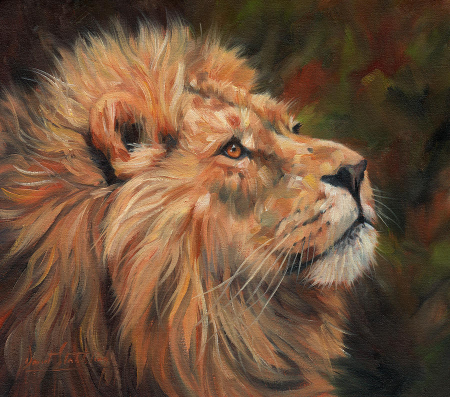 Lion #5 Painting by David Stribbling