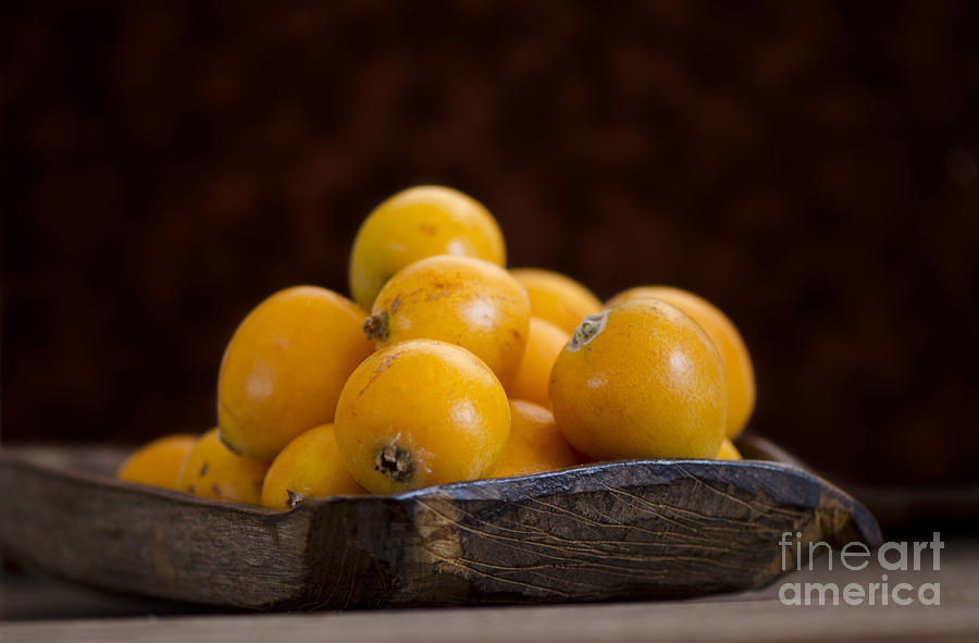 loquats called nisperos in Spain #1 Photograph by Perry Van Munster