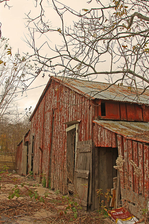 Louisiana Cajun Barn #5 Photograph by Ronald Olivier - Fine Art America