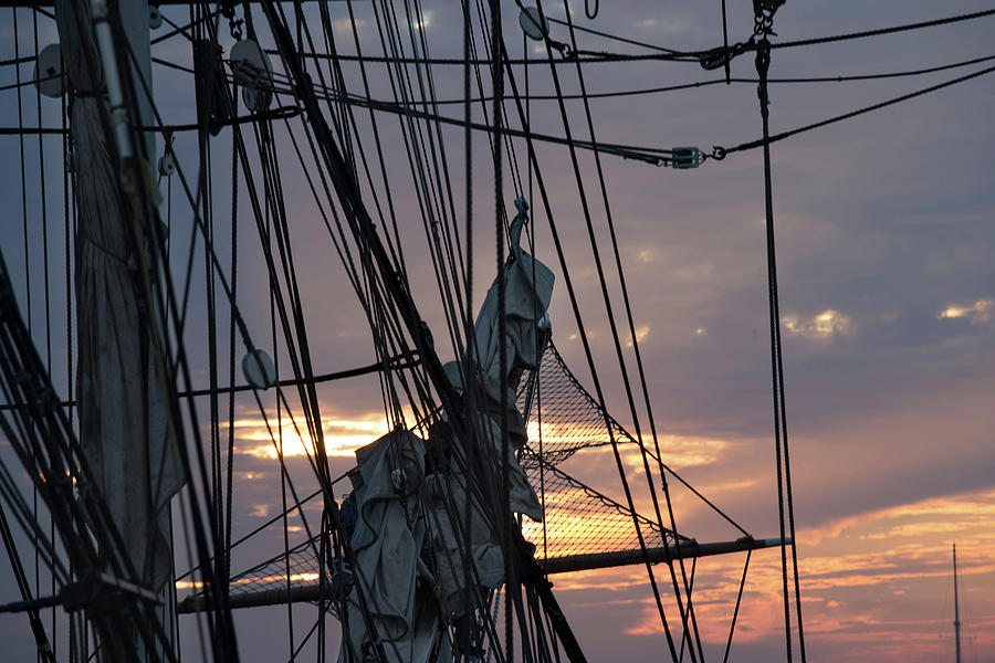 Low Angle View Of Mast Of Sailboat #5 Photograph by Panoramic Images