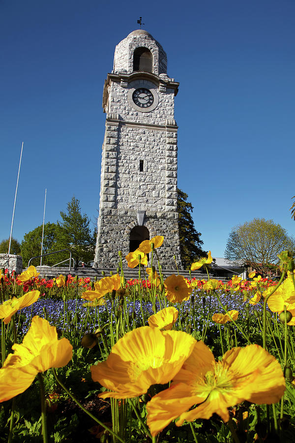 Spring Photograph - Memorial Clock Tower, Seymour Square #5 by David Wall