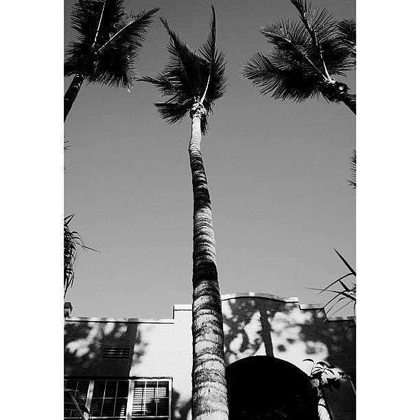 Blackwhite Photograph - {miami Beachs Art Deco} In 1979 by Joel Lopez Blackwhite Photograph - {miami Beachs Art Deco} In 1979 by Joel Lopez