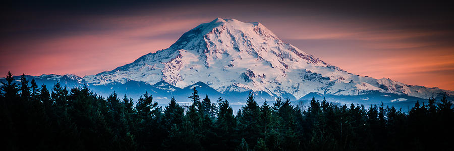 Mt. Rainier #5 Photograph by Chris McKenna