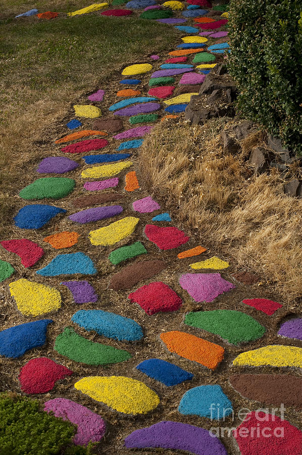 Multicolored rock path #5 Photograph by Jim Corwin
