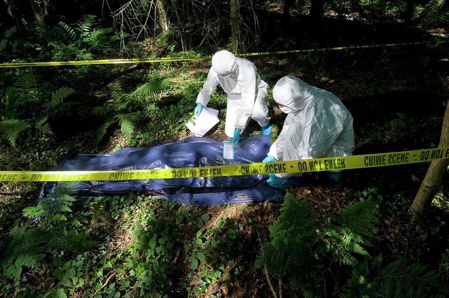 Murder Investigation Photograph by Jim Varney/science Photo Library ...