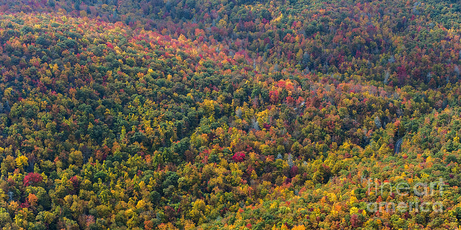 Nantahala National Forest Fall Colors #4 Photograph by David ...