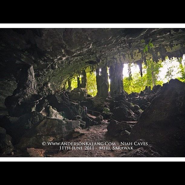 Jungle Photograph - #niahcave #miri #sarawak #malaysia #5 by Anderson Kalang