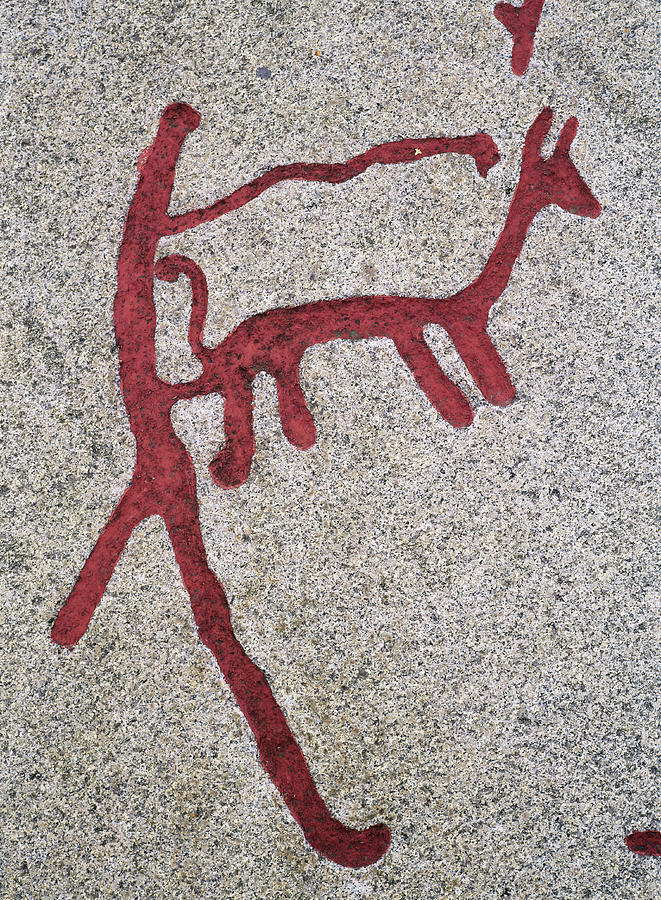 Wildlife Photograph - Nordic Bronze Age Petroglyph #5 by Bjorn Svensson/science Photo Library