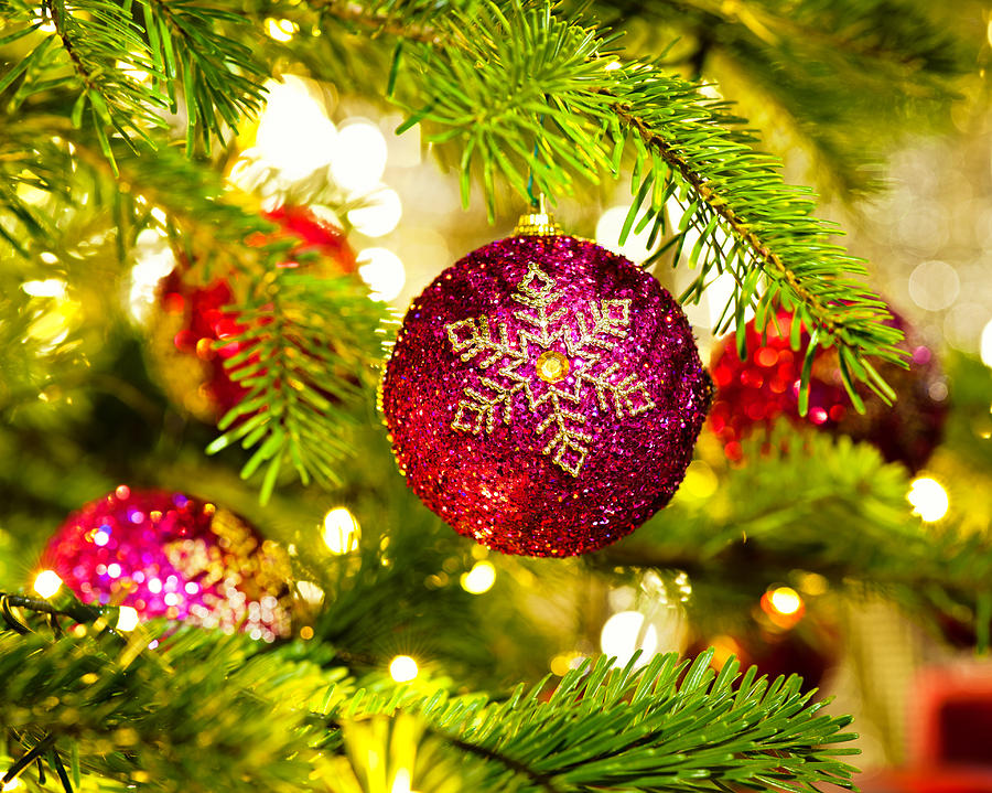 Ornament in a Christmas tree #5 Photograph by U Schade