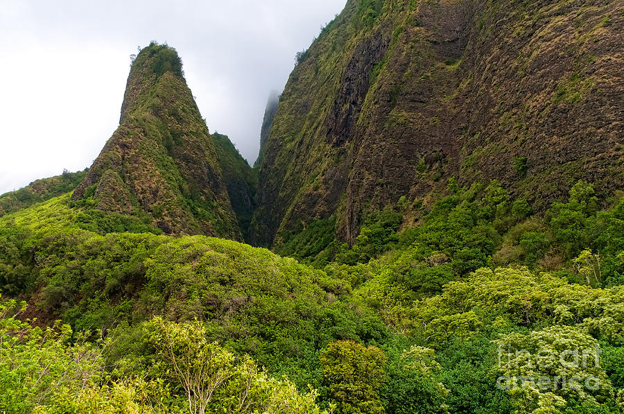 Overview of the Iao Needle State Park Maui Hawaii USA #5 Photograph by Don Landwehrle