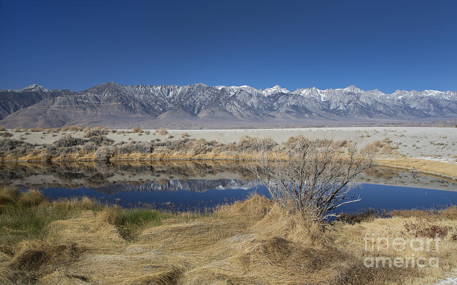 Owens Lake #5 Photograph by Jim West