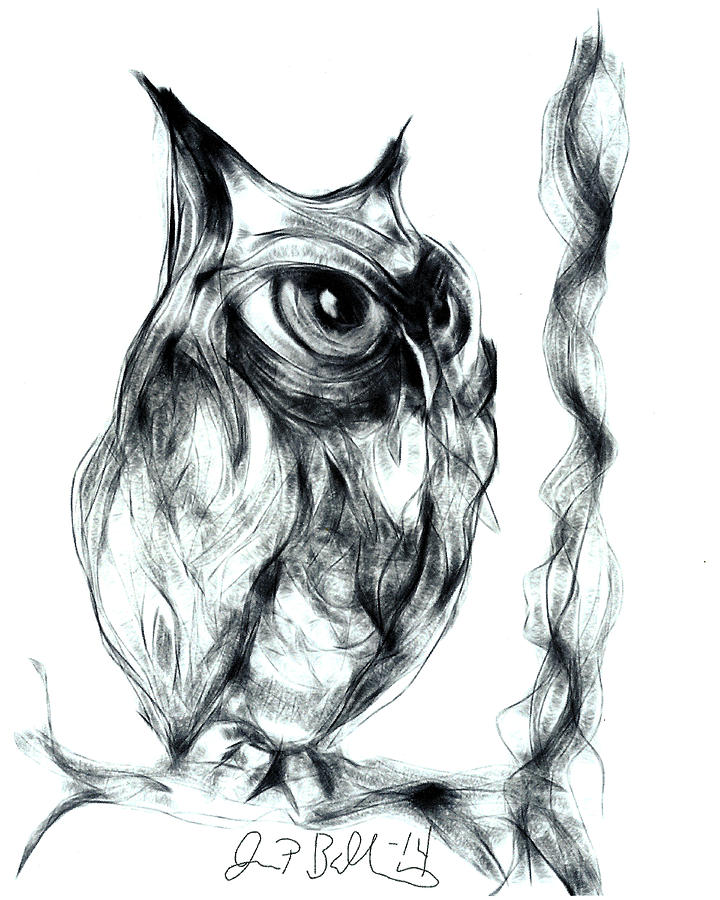 Owl Digital Art