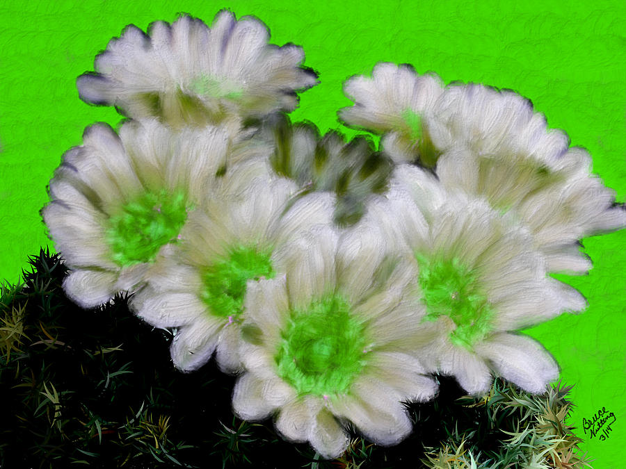 Painterly Cactus Flowers #6 Painting by Bruce Nutting