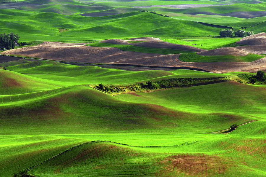 Nature Photograph - Palouse View From Steptoe Butte #5 by Michel Hersen