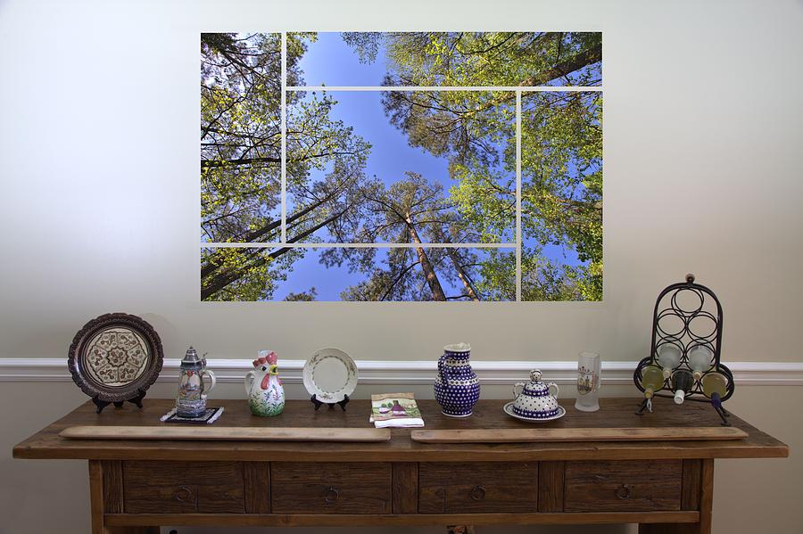 5-Panel - A Forest Sky Photograph by Gordon Elwell