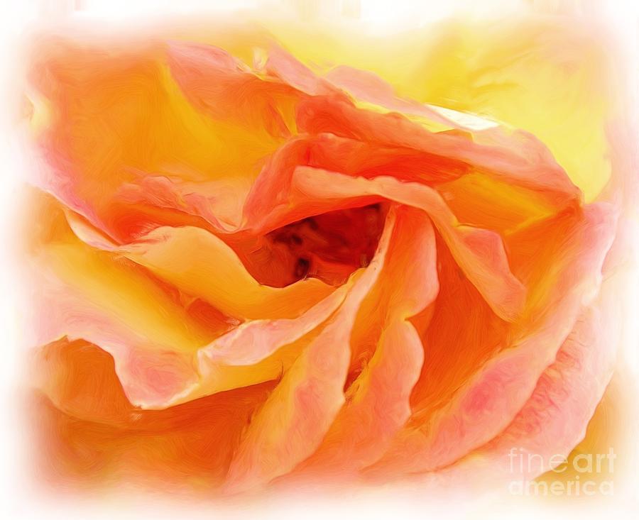 Peach Rose Photograph by Allen Beatty