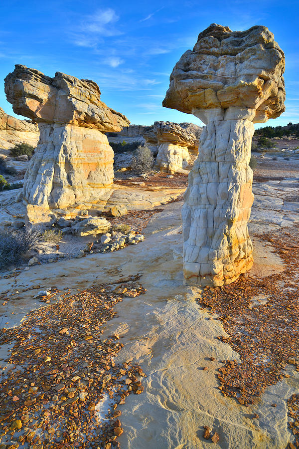Pillars of Stone #9 Photograph by Ray Mathis