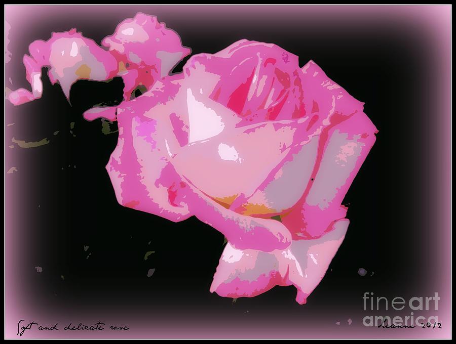 Pink Rose #1 Photograph by Leanne Seymour