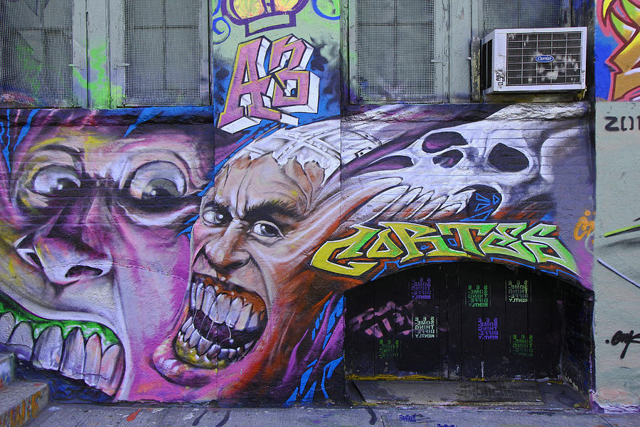 5 Pointz Graffiti Art 8 Photograph by Allen Beatty