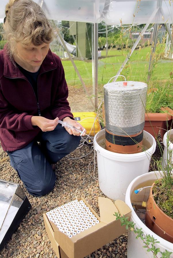 Pollution Research Photograph by Simon Fraser/science Photo Library