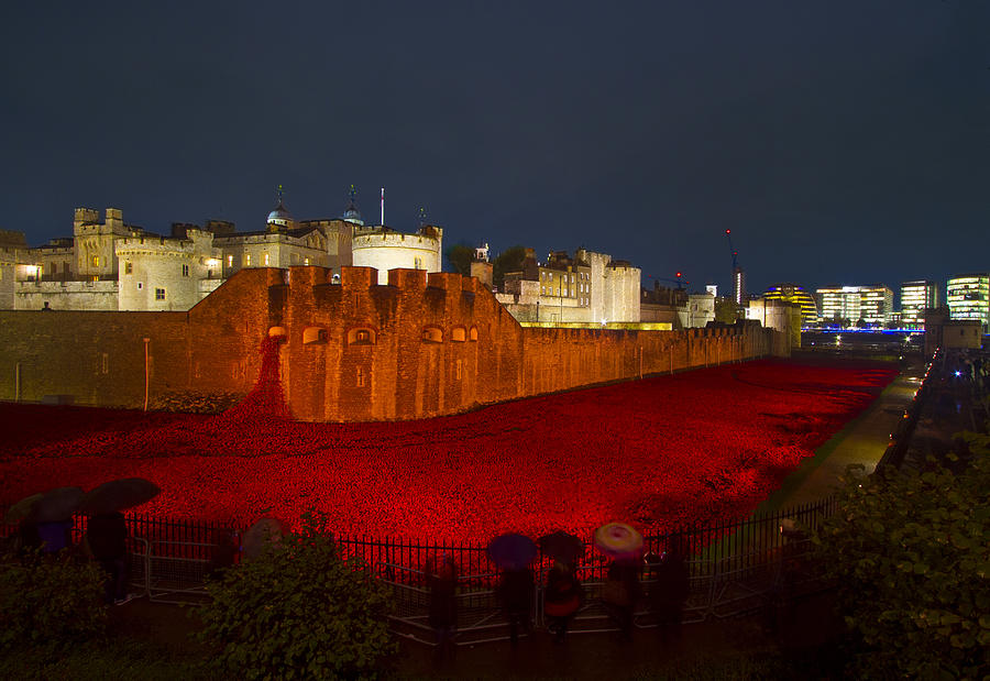 Poppies Tower of London night   #5 Photograph by David French