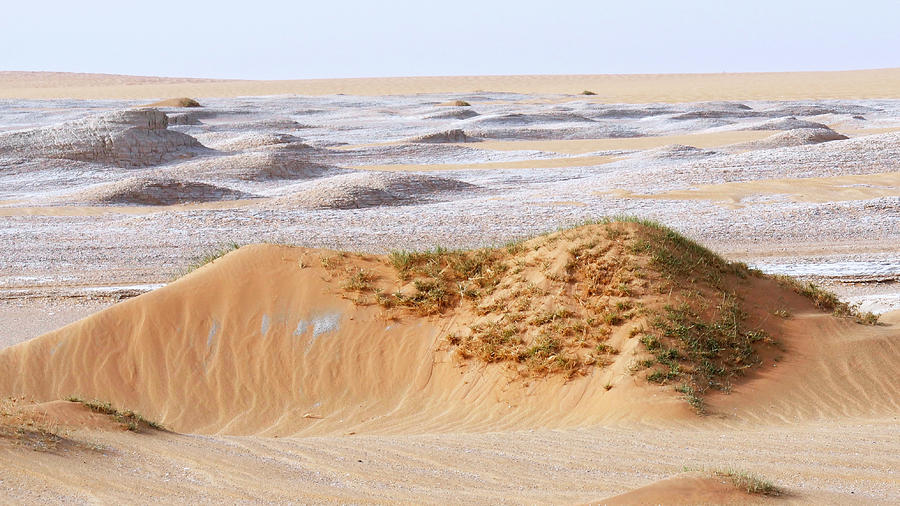 Prehistoric Saharan Lake Deposits #5 Photograph by Thierry Berrod, Mona Lisa Production