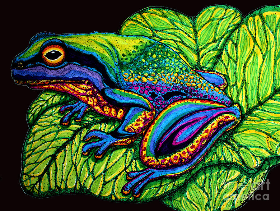 Frog Drawing - Rainbow Frog #1 by Nick Gustafson