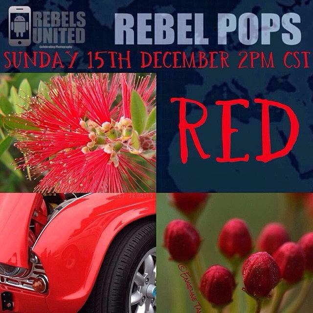 💥rebel Pops💥

meet New Igers #5 Photograph by Paul Burger