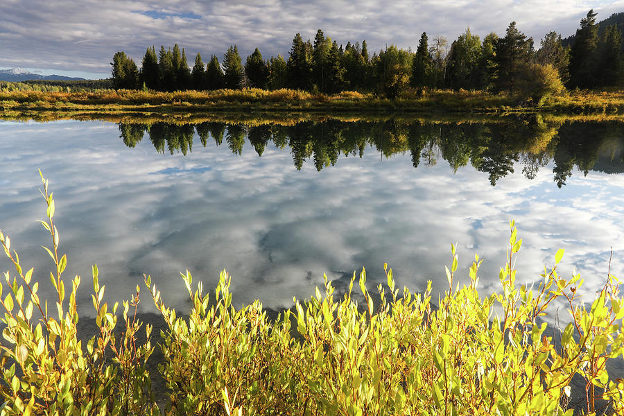 Reflection Of Clouds On Water, Teton #5 Photograph by Panoramic Images