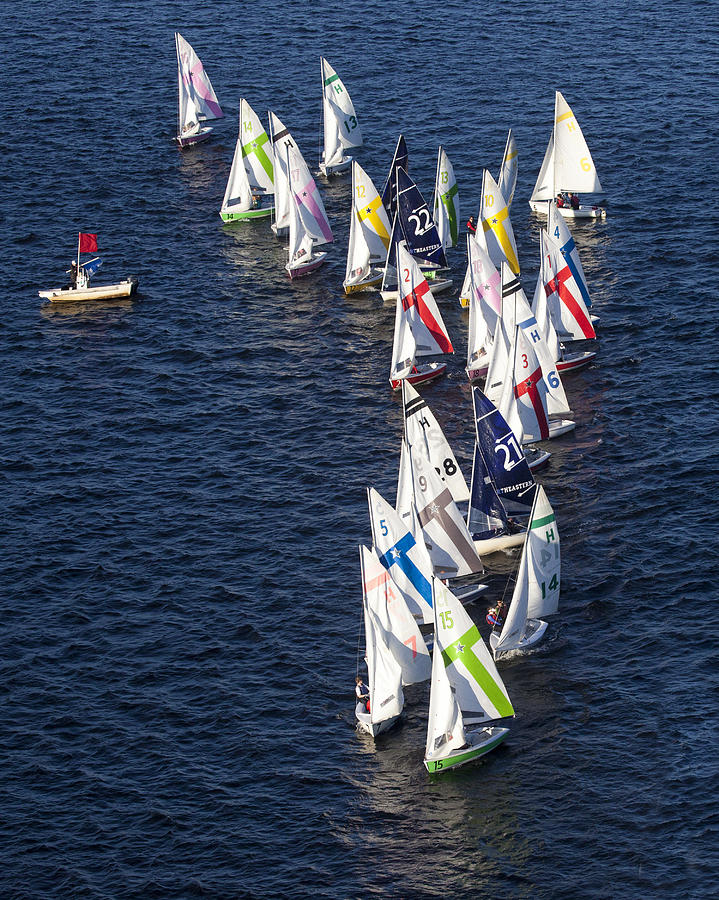 Regatta In The Charles River, Boston Photograph by Dave Cleaveland