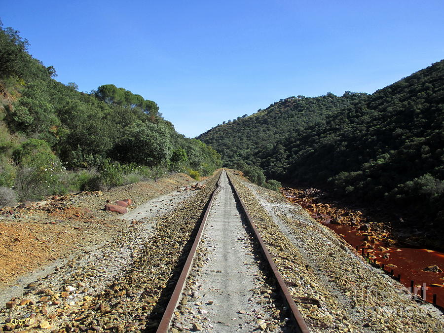 Rio Tinto Abandoned Railway #6 Photograph by Chani Demuijlder