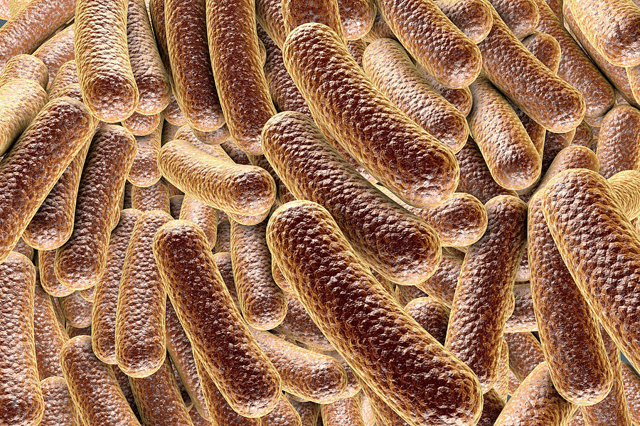 Rod-shaped Bacteria #5 Photograph by Kateryna Kon