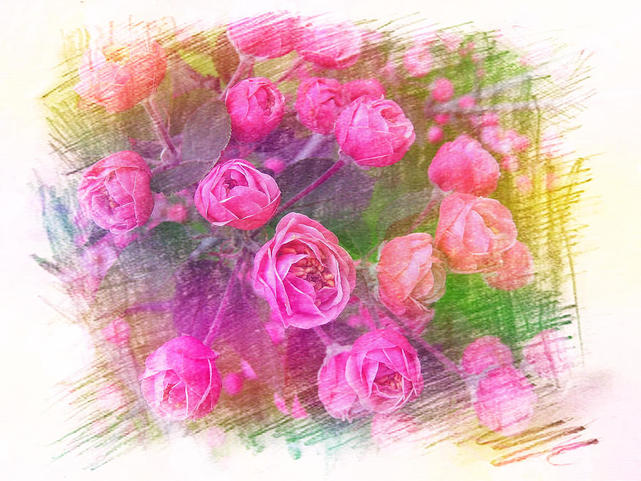 Pink Roses #2 Painting by Xueyin Chen