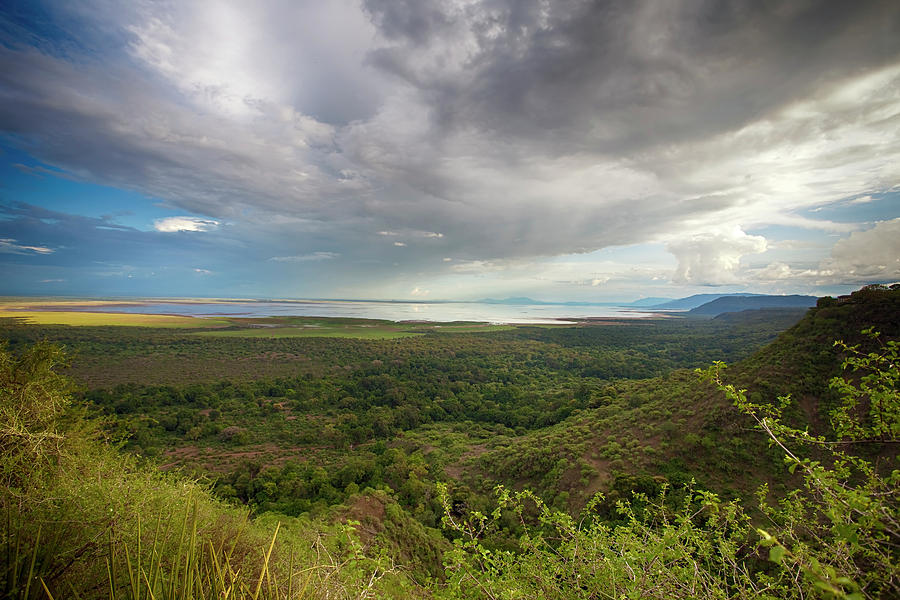 Safari At Lake Manyara National Park Photograph by Jason Maehl - Fine ...