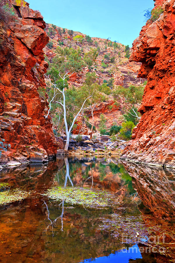 Serpentine Gorge Central Australia Photograph by Bill  Robinson