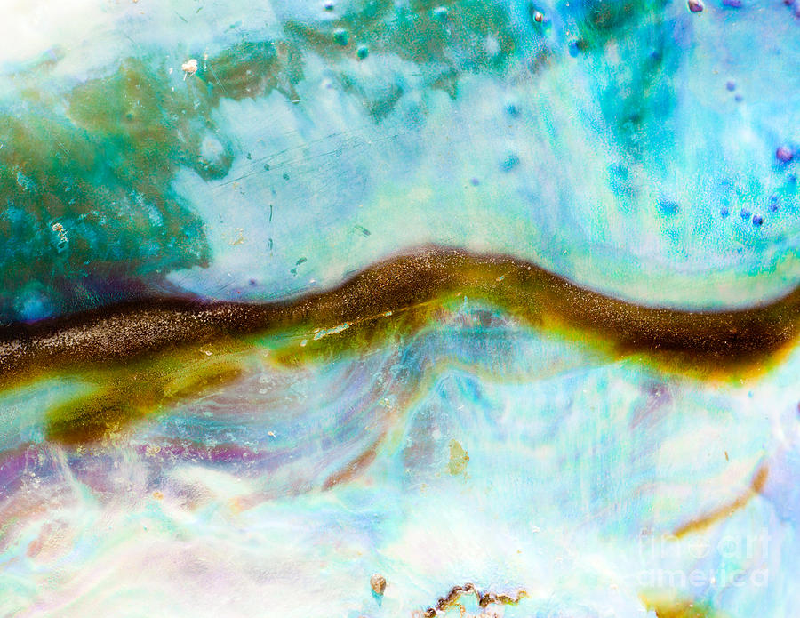 Abstract Photograph - Shiny nacre of Paua or Abalone shell background #5 by Stephan Pietzko