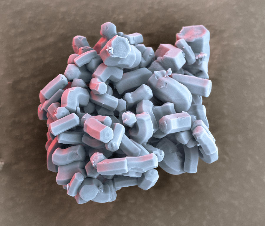 Silica Arrays, Sem #5 Photograph by Eye of Science