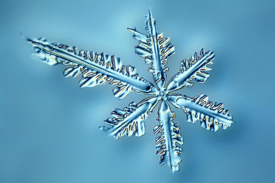 Snowflake Crystal #5 Photograph by Gerd Guenther