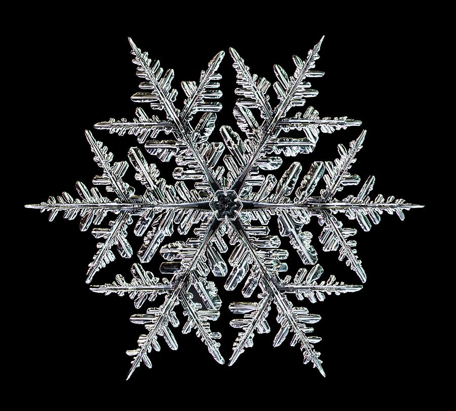 Snowflake #5 Photograph by Kenneth Libbrecht