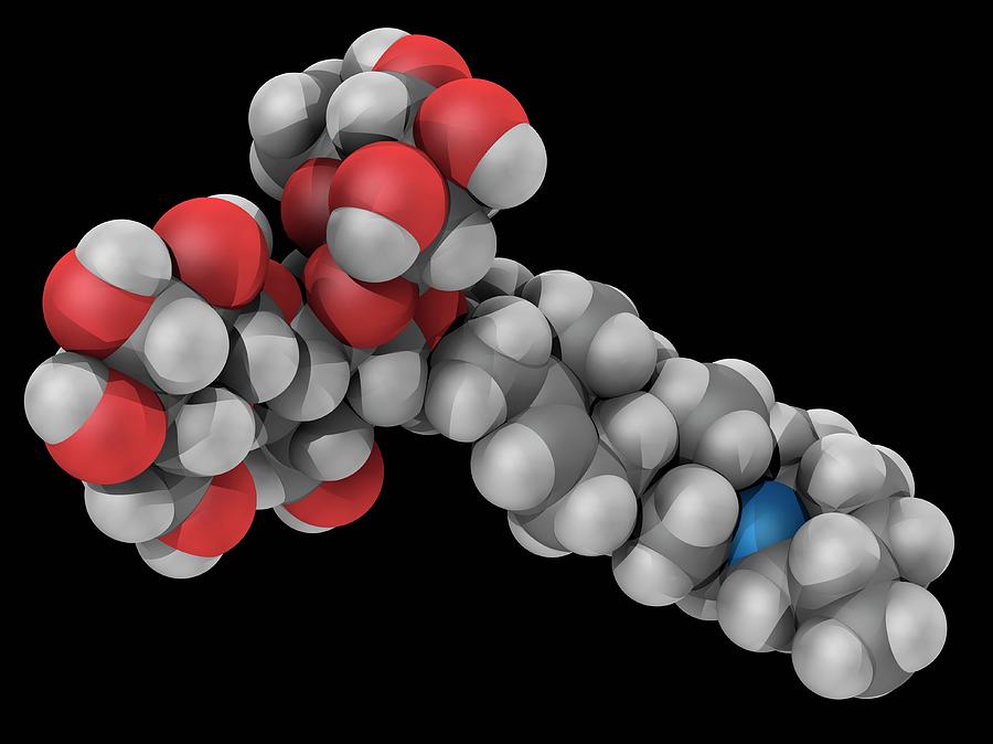 Solanine Poison Molecule #5 by Laguna Design/science Photo Library