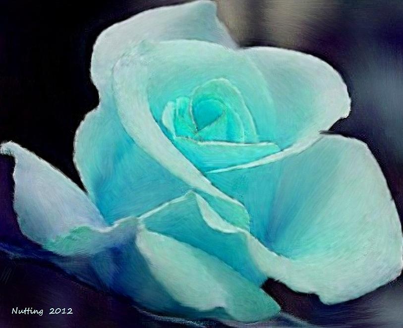Solitary Rose #5 Painting by Bruce Nutting