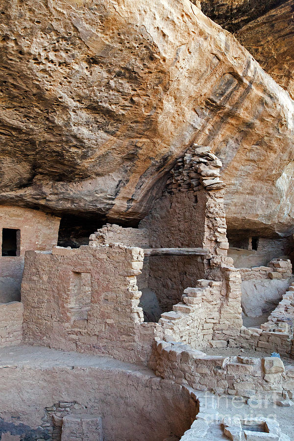 Spruce Tree House Mesa Verde National Park #5 Photograph by Fred Stearns