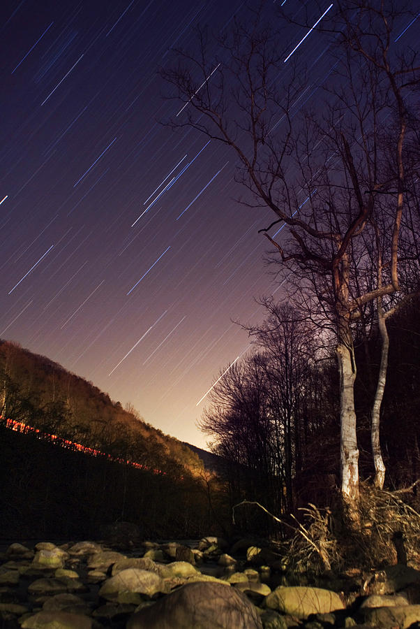 Star Trails #5 Photograph by Gustoimages/science Photo Library