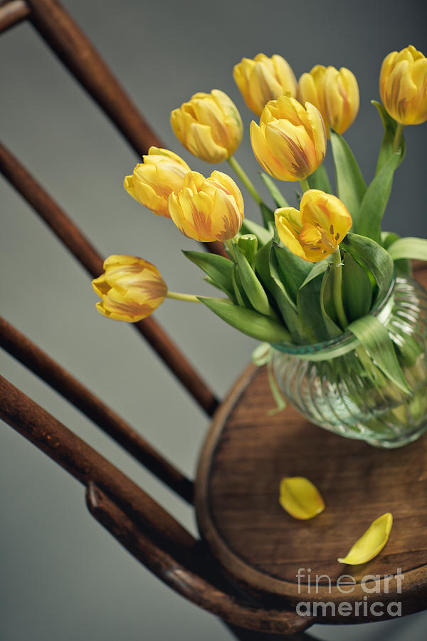 Still Life Photograph - Still Life with Yellow Tulips #5 by Nailia Schwarz