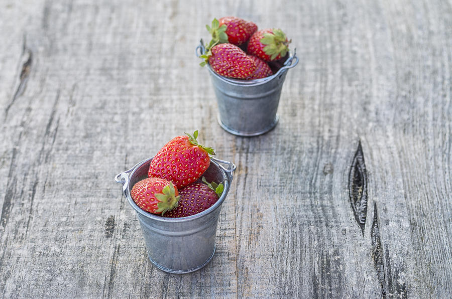 Strawberries in pots #5 Photograph by Paulo Goncalves